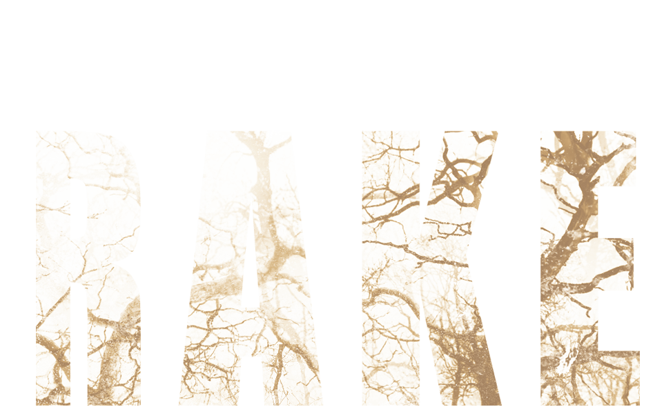 Screambox: The Rake