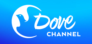 Handpicked Entertainment For Your Whole Family | Dove